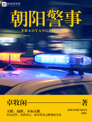  朝阳警事